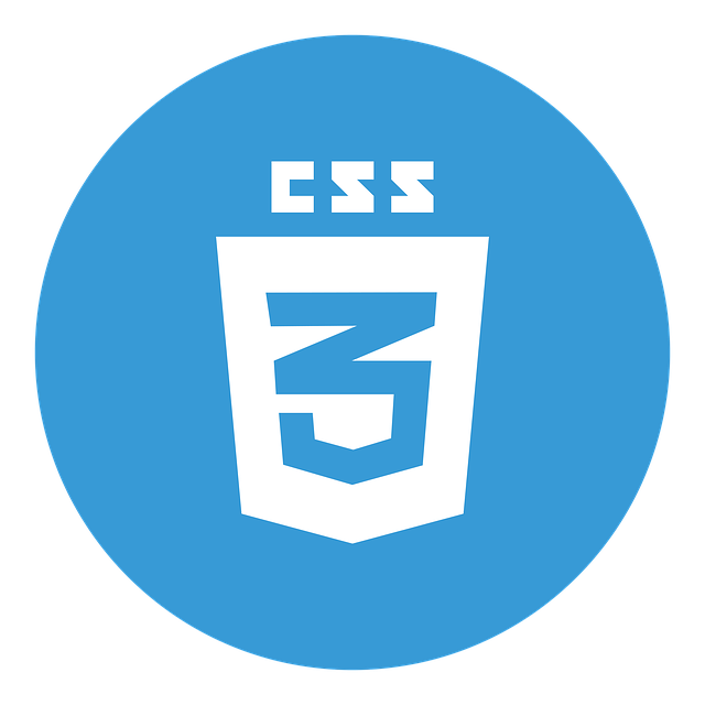 CSS_picture